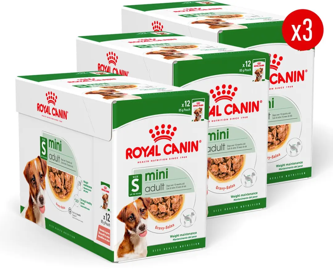 Royal Canin Mini Adult Natvoer - 36x85g