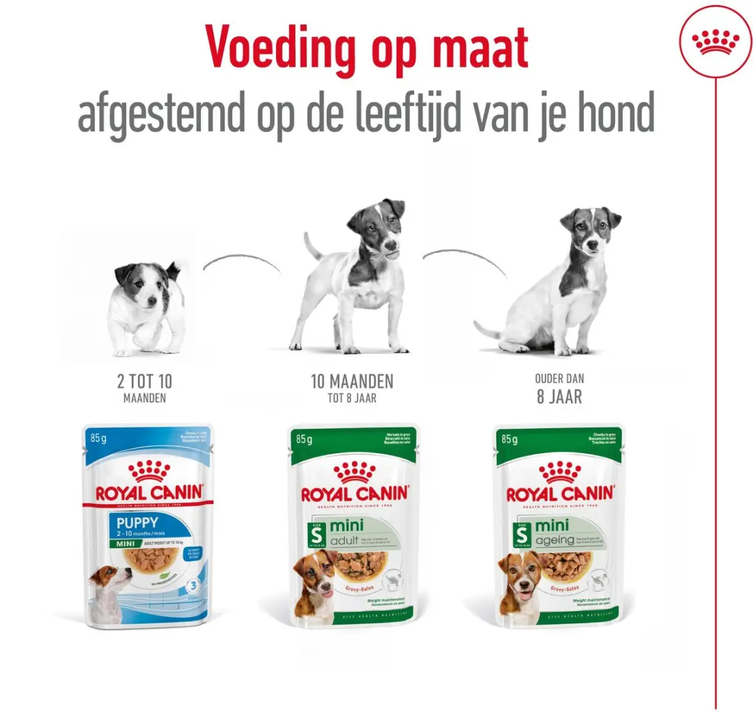 Royal Canin Mini Adult Natvoer - 36x85g