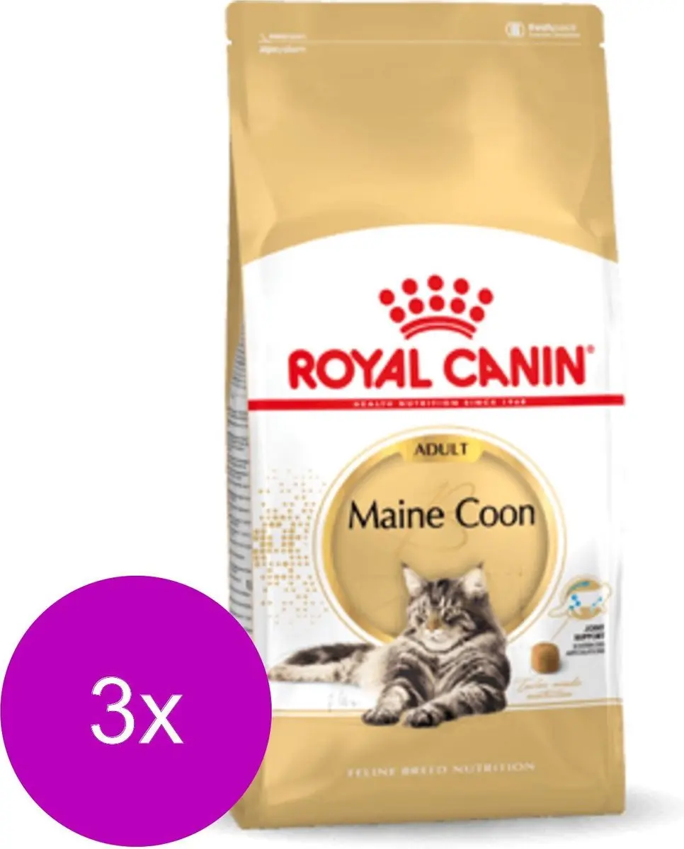 Royal Canin Maine Coon Adult Kattenvoer - 6 kg