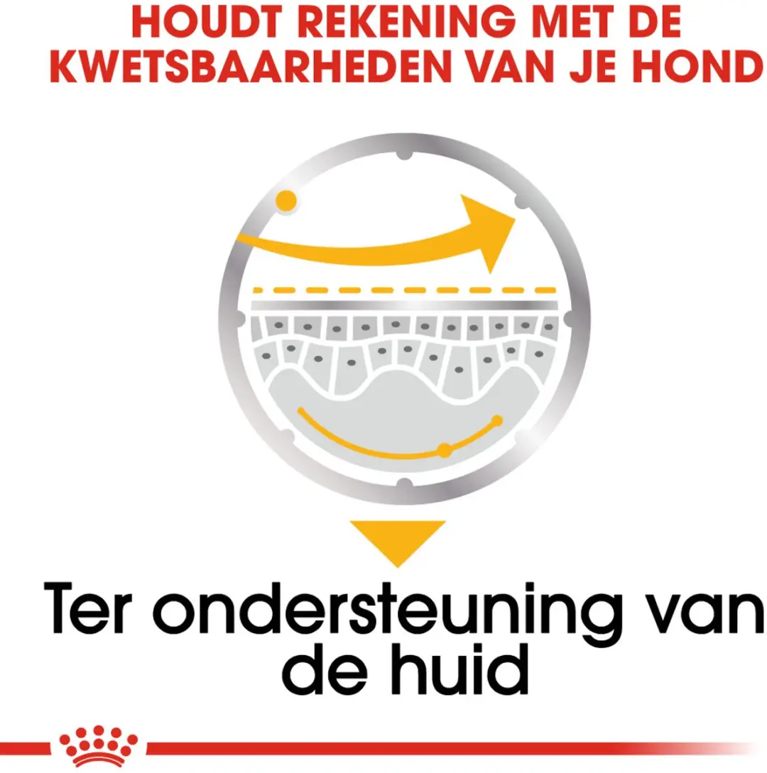 Royal Canin Dermacomfort Hondenvoer - 12x85g