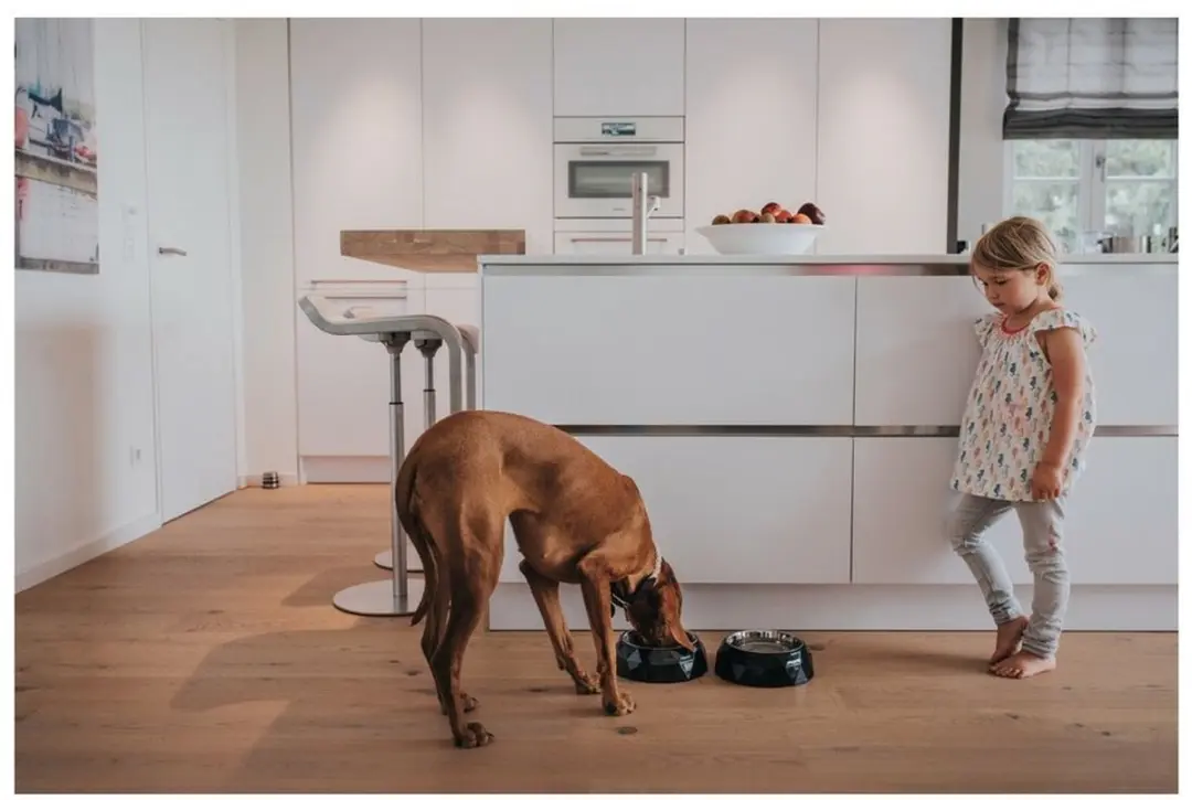 Hunter Kimberley Voerbak Honden - Melamine - 22,5x22,5x4,5cm - Wit