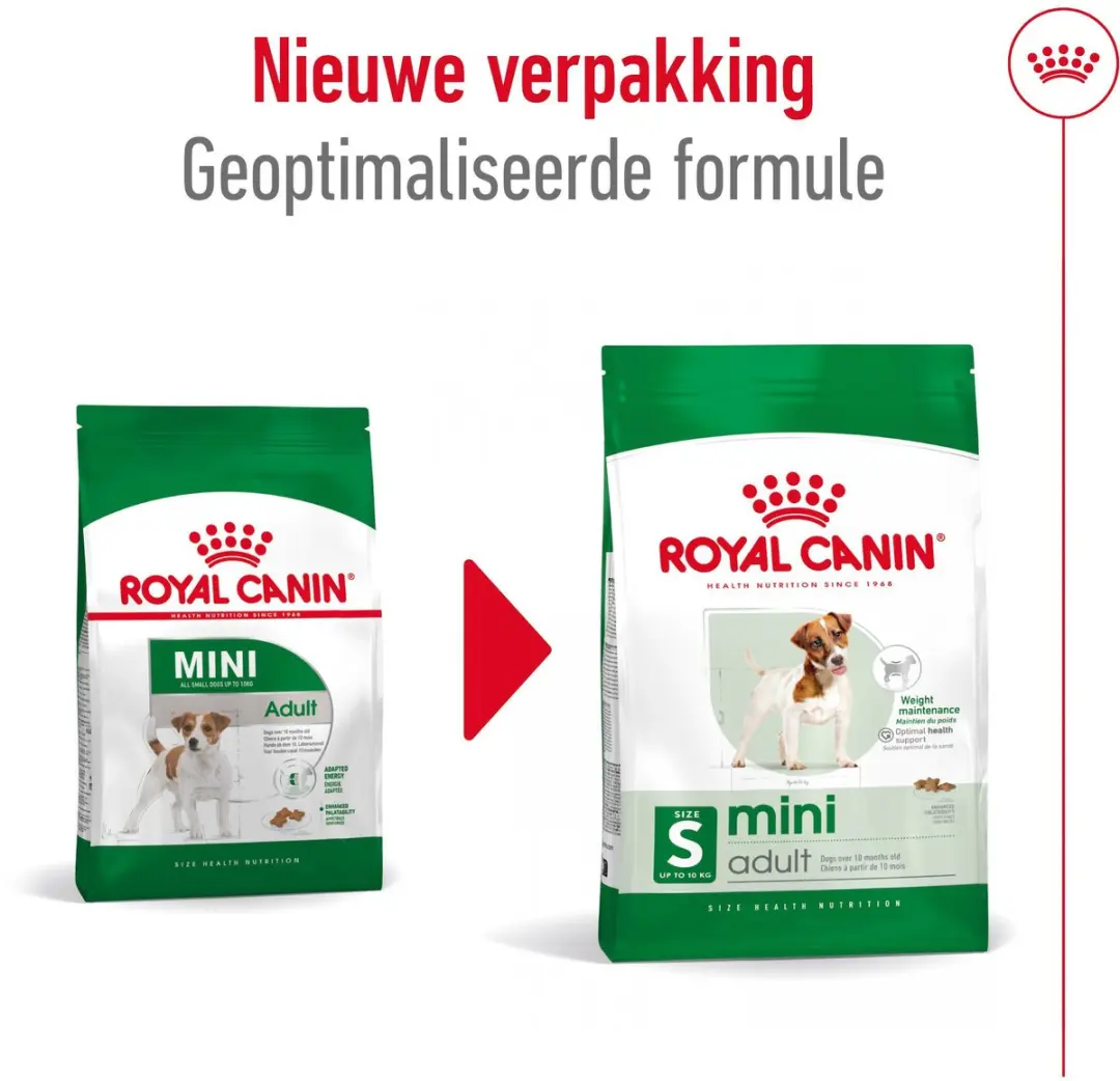 Royal Canin Mini Adult Hondenvoer - 6 kg (3x2kg)