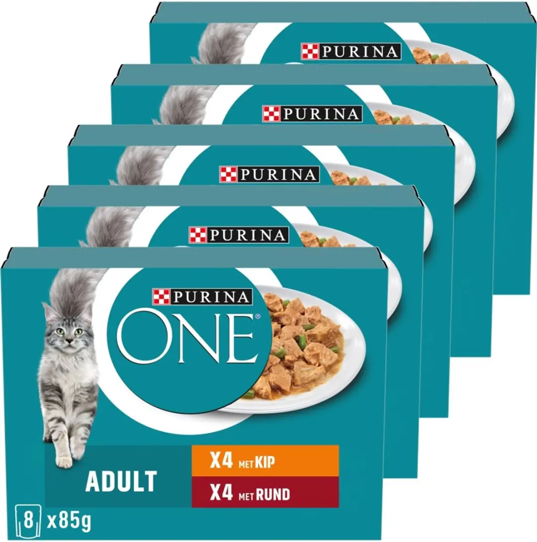 Purina ONE Adult Natvoer Kat