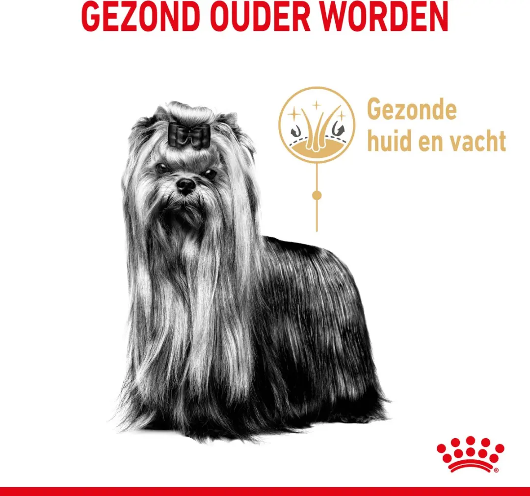 Royal Canin Yorkshire Terrier 8+ Droogvoer 1,5kg