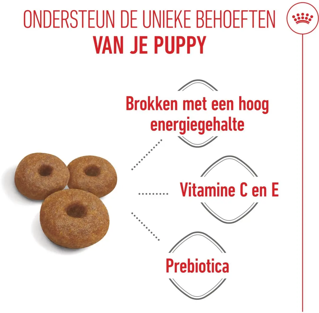 Royal Canin Maxi Starter Mother & Babydog 15kg