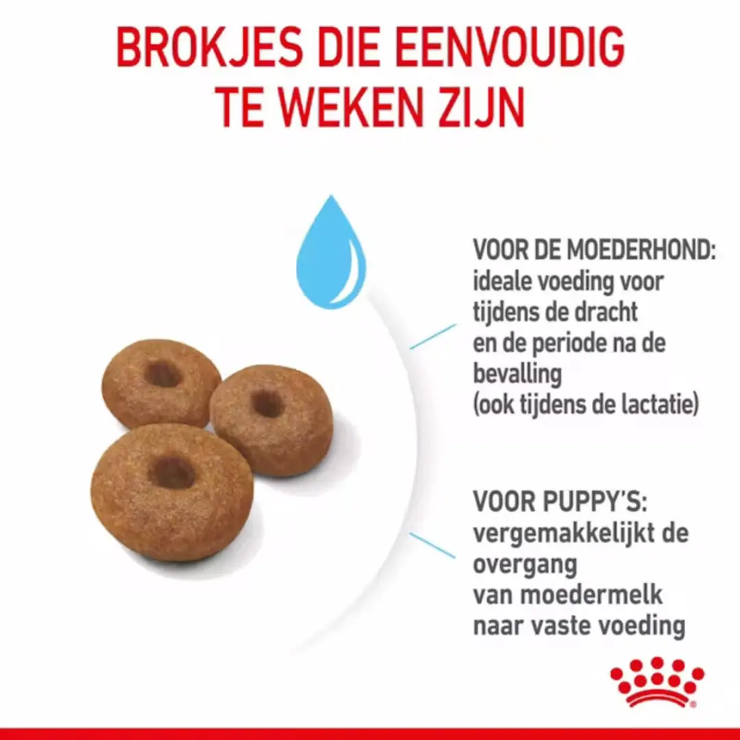 Royal Canin Maxi Starter Mother & Babydog 15kg - afbeelding 6 van 6