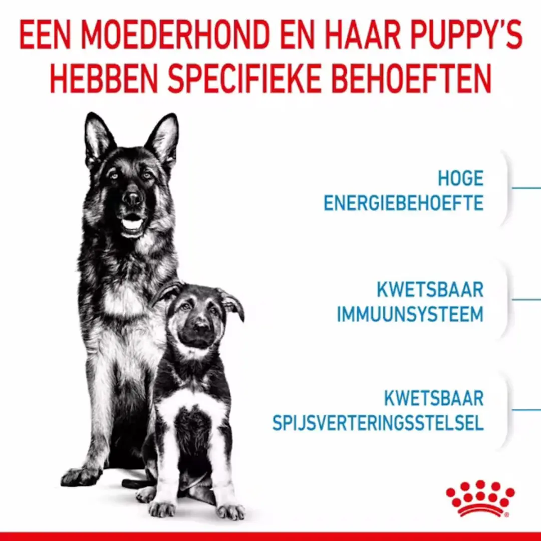 Royal Canin Maxi Starter Mother & Babydog 15kg