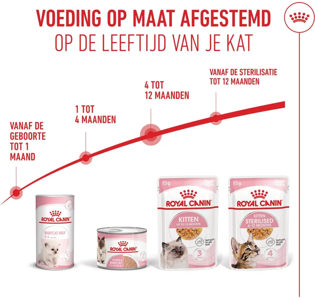 Royal Canin Katjes Instinctive Jelly Natvoer - 12x85g