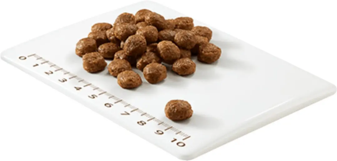Schesir Kitten Kattenvoer 1.5kg