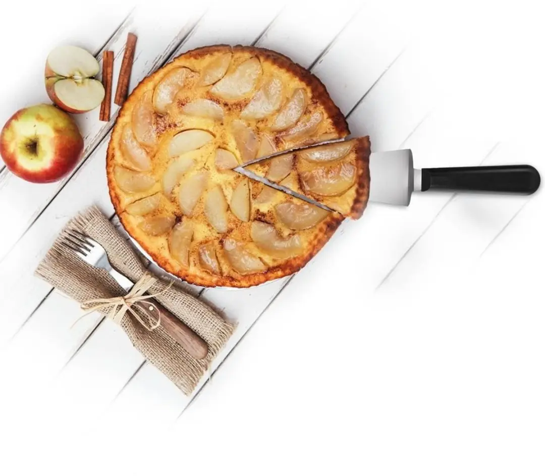 Orion Roestvrijstalen Taartschep - Ergonomische Handgreep - Zilver/Zwart