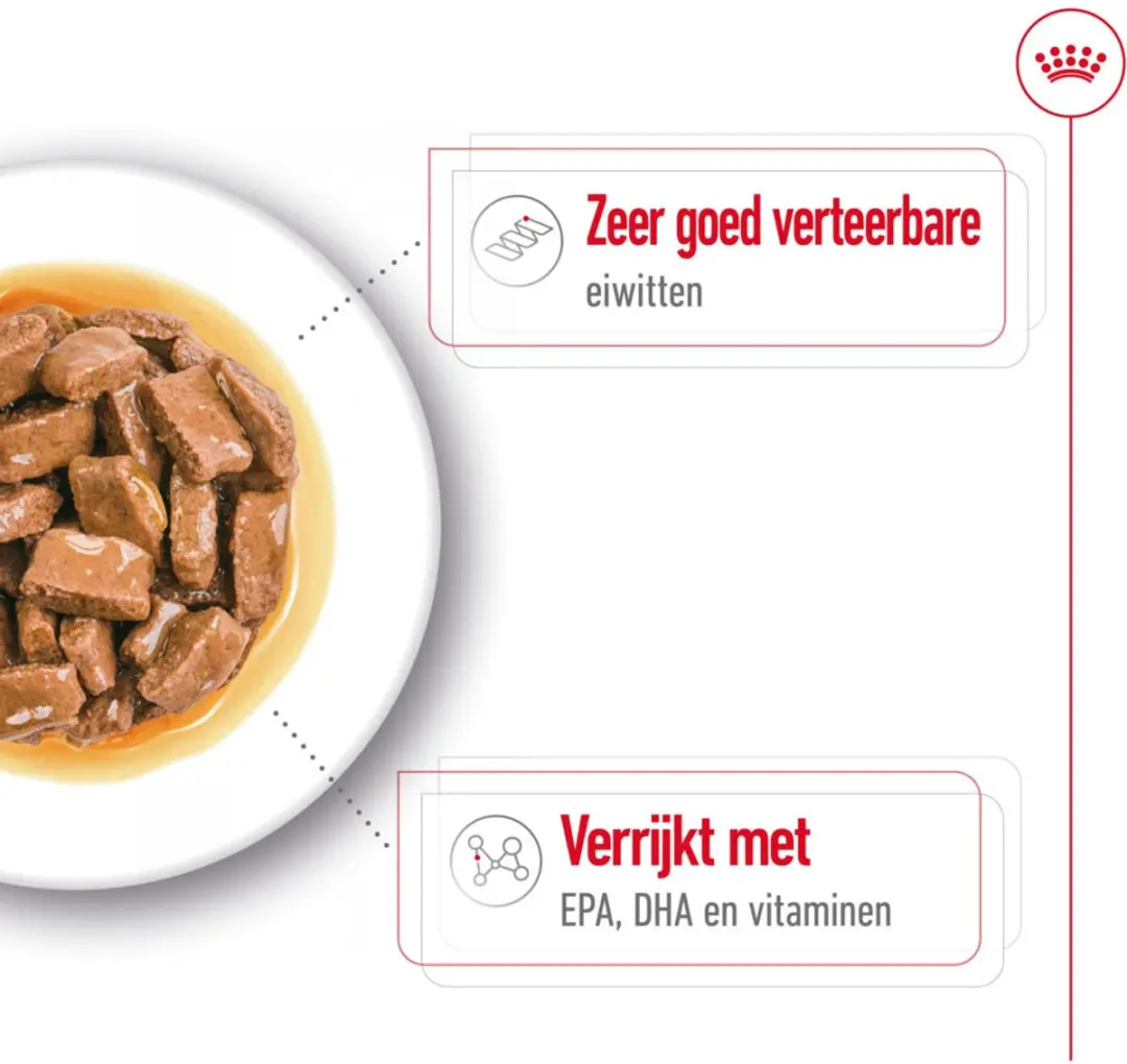 Royal Canin Maxi Ageing 8+ Hondenvoer Nat - 40x140g