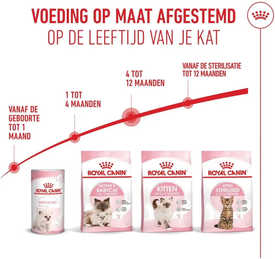 Royal Canin Kitten Kattenvoer - 4kg
