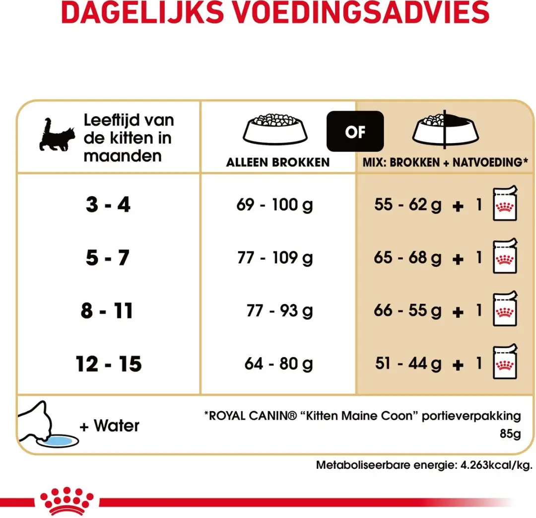 Royal Canin Maine Coon Kitten - 2kg