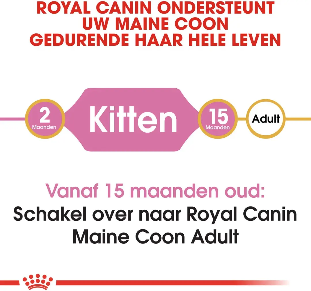Royal Canin Maine Coon Kitten - 2kg