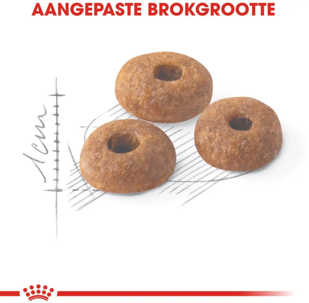 Royal Canin Fit 32 Kattenvoer - 12 kg