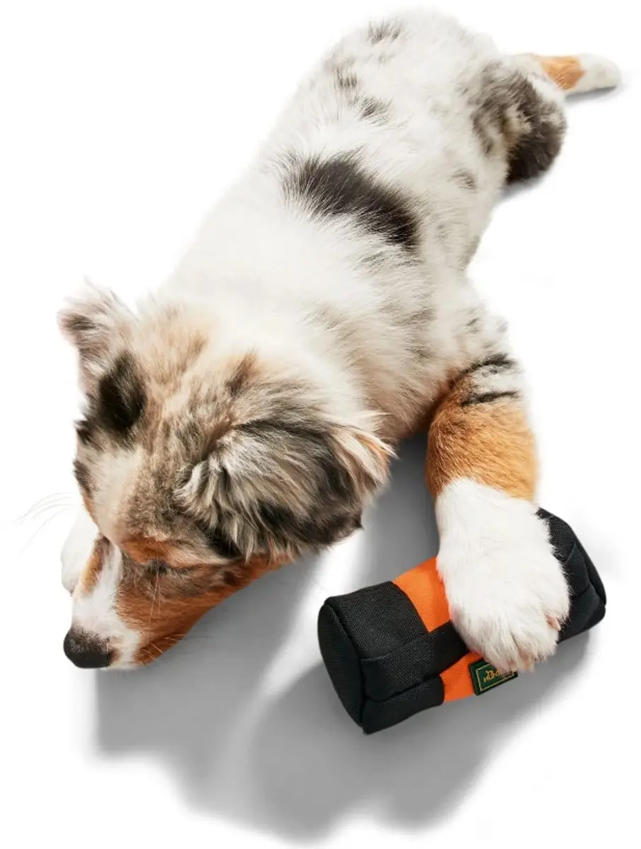 Hunter Dummy Snacks 15cm - Orange