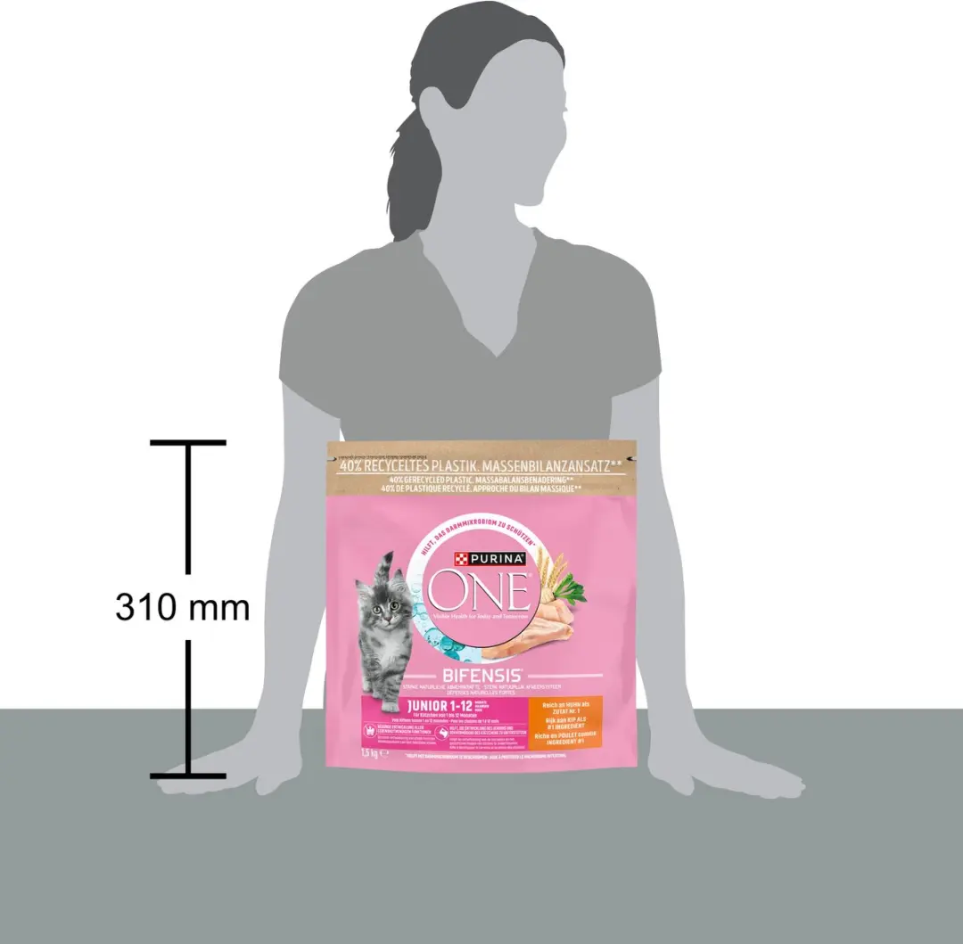 Purina ONE Junior Kattenbrokjes Kip & Volkoren Granen - 6 kg