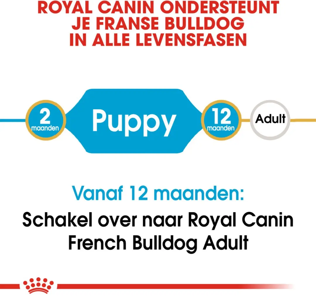 Royal Canin French Bulldog Puppy Hondenvoer - 10 kg