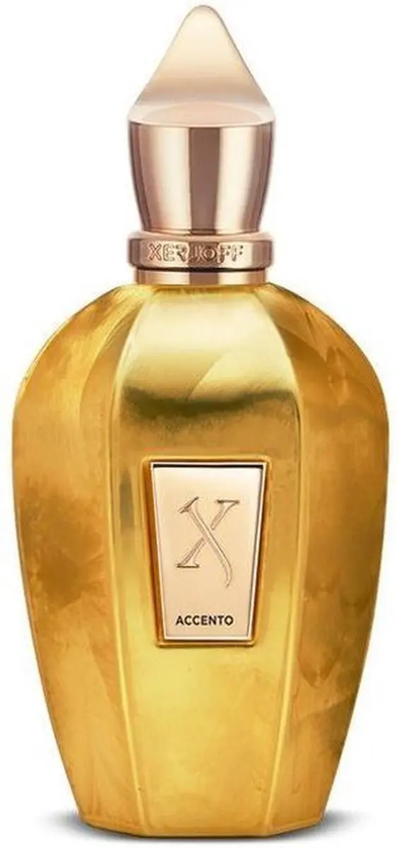 Xerjoff Accento Overdose 100ml
