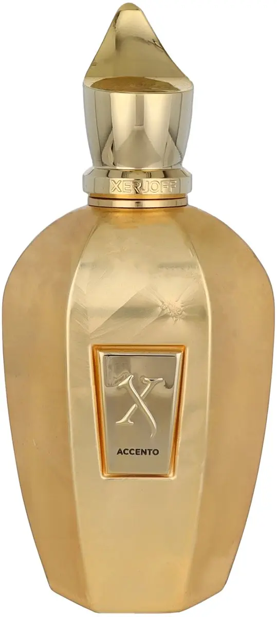 Xerjoff Accento Overdose 100ml