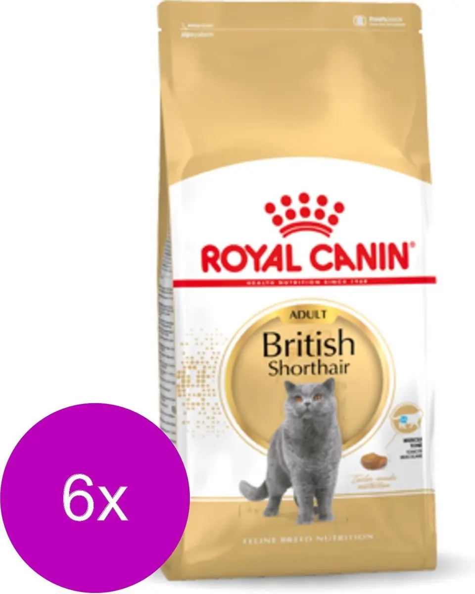Royal Canin British Shorthair Adult Kattenvoer - 6x2kg