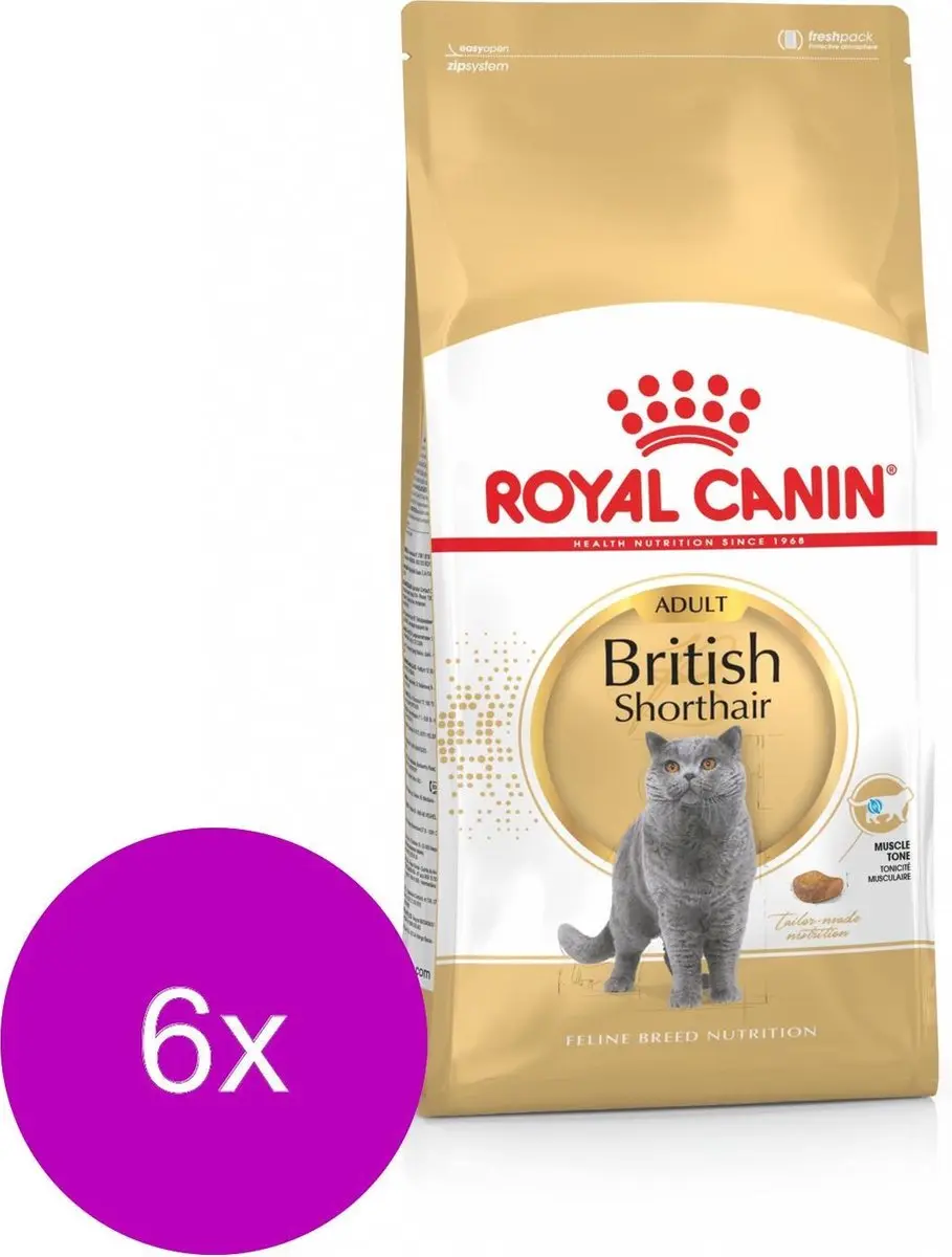 Royal Canin British Shorthair Adult Kattenvoer - 6x2kg