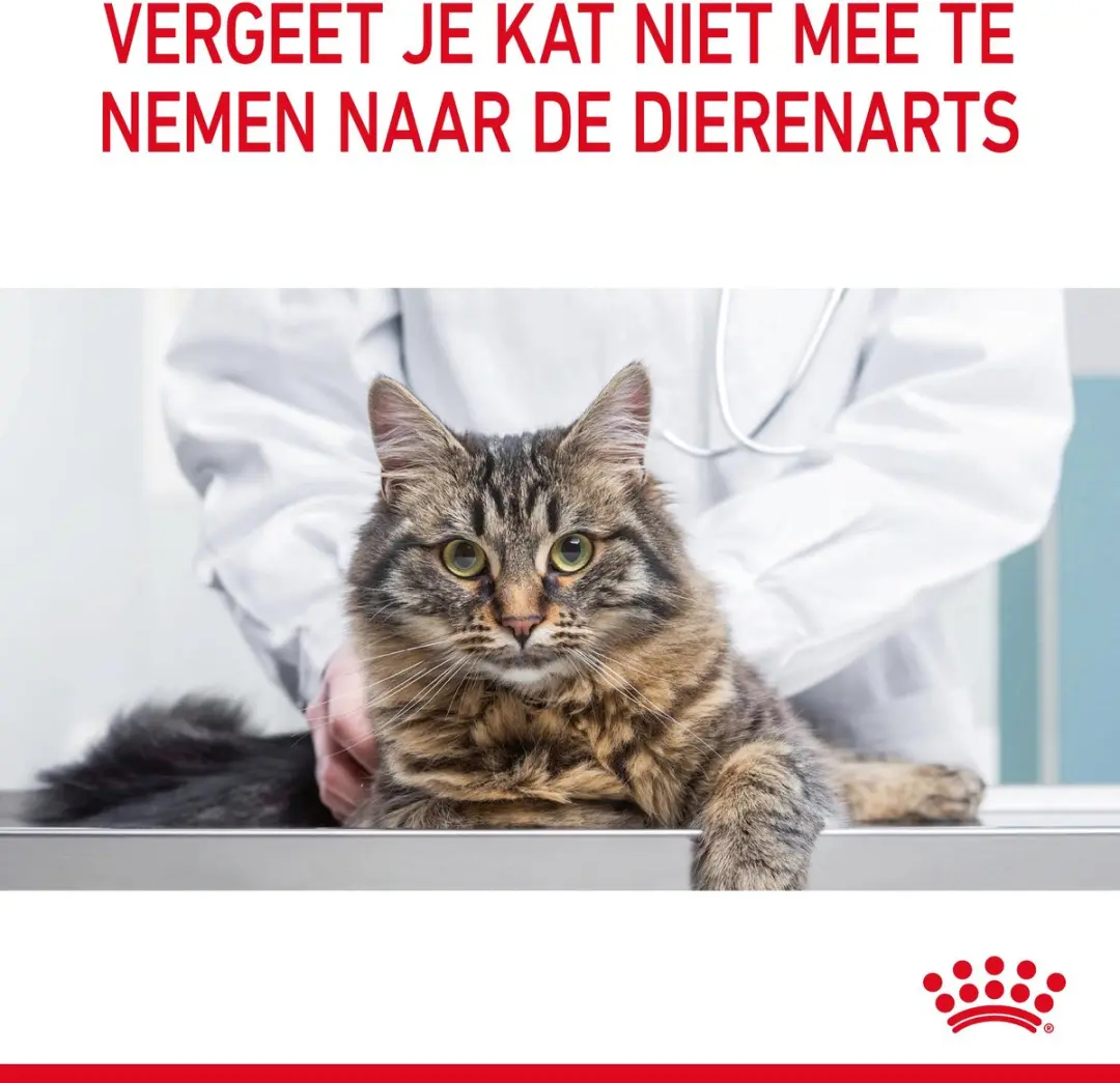Royal Canin Urinary Care Kattenvoer - 2x4kg