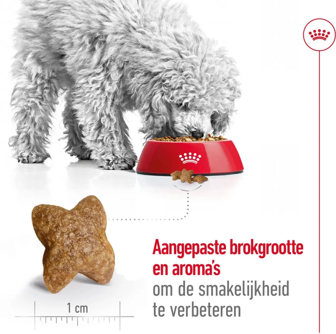 Royal Canin Mini Adult Hondenvoer - 8 kg