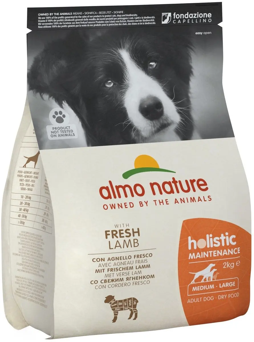 Almo Nature Holistic Droogvoer 12kg - Zalm - Large