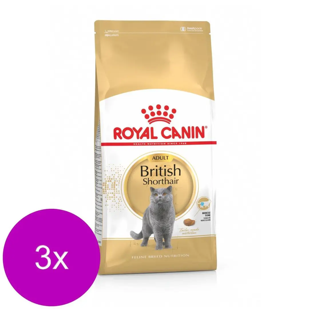 Royal Canin British Shorthair Adult Kattenvoer - 6 kg