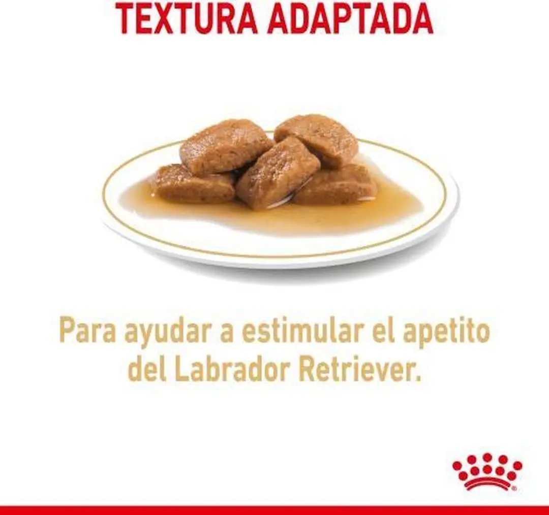 Royal Canin Labrador Volwassen - 12x 140g