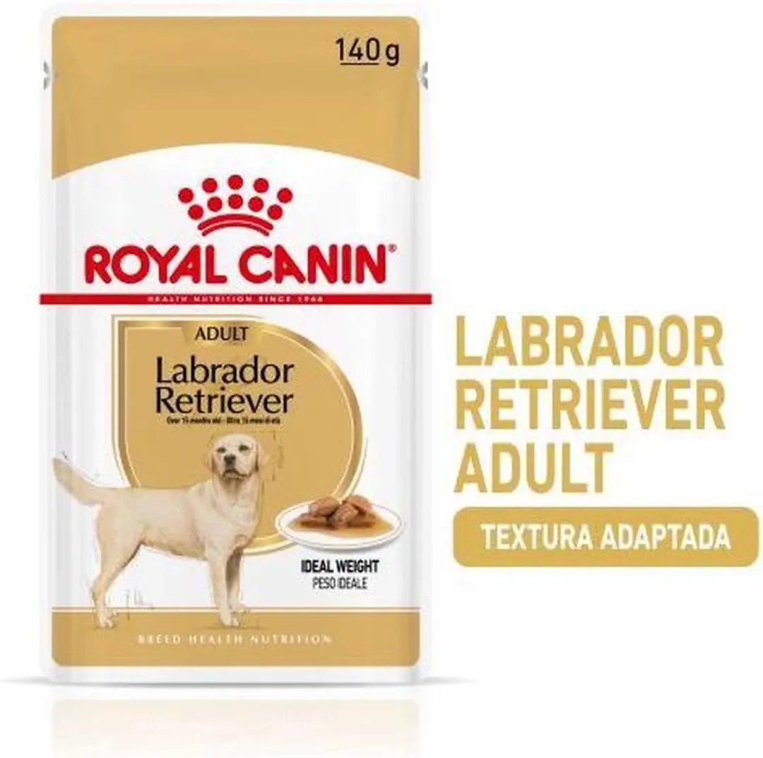 Royal Canin Labrador Volwassen - 12x 140g