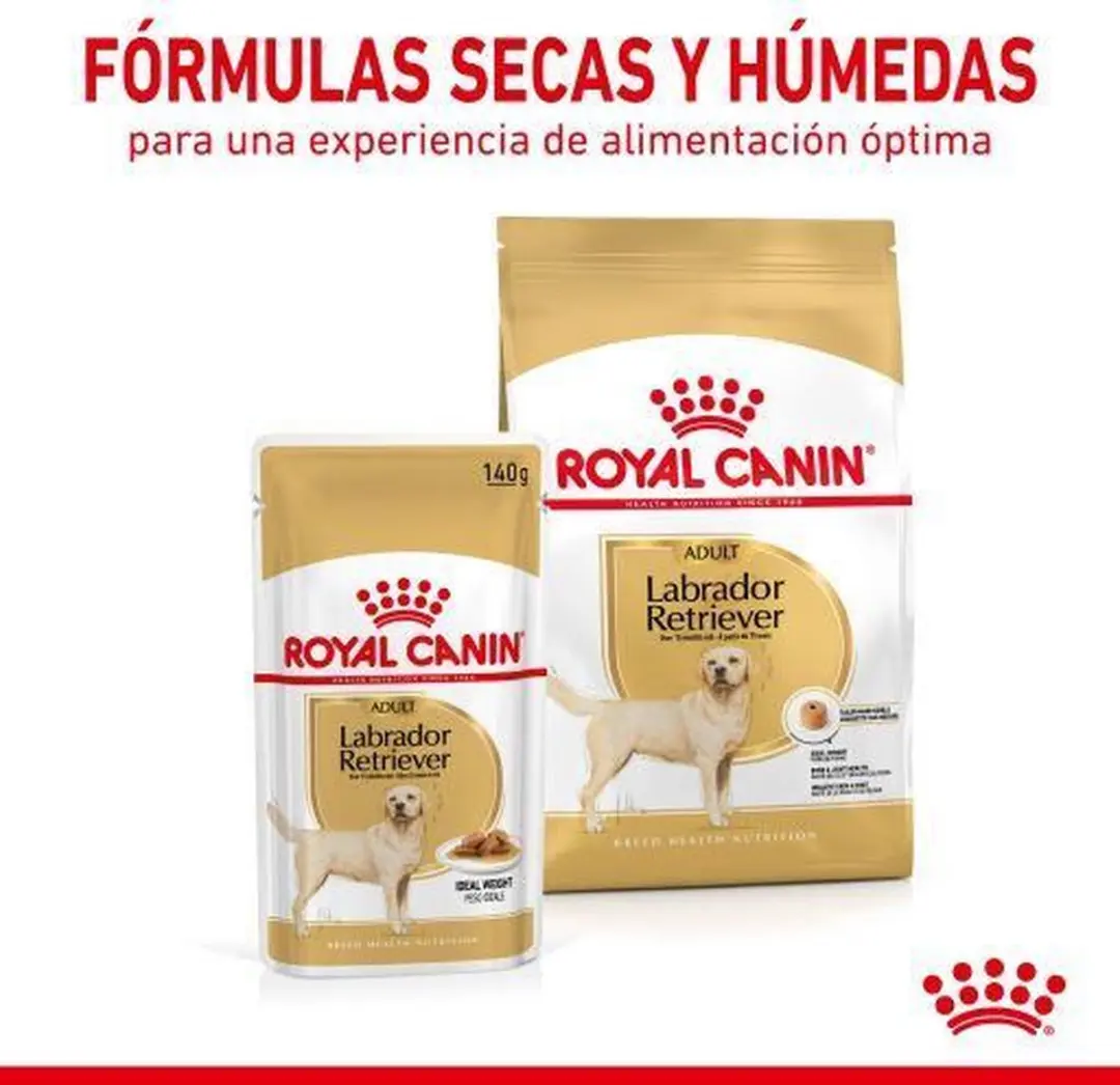Royal Canin Labrador Volwassen - 12x 140g