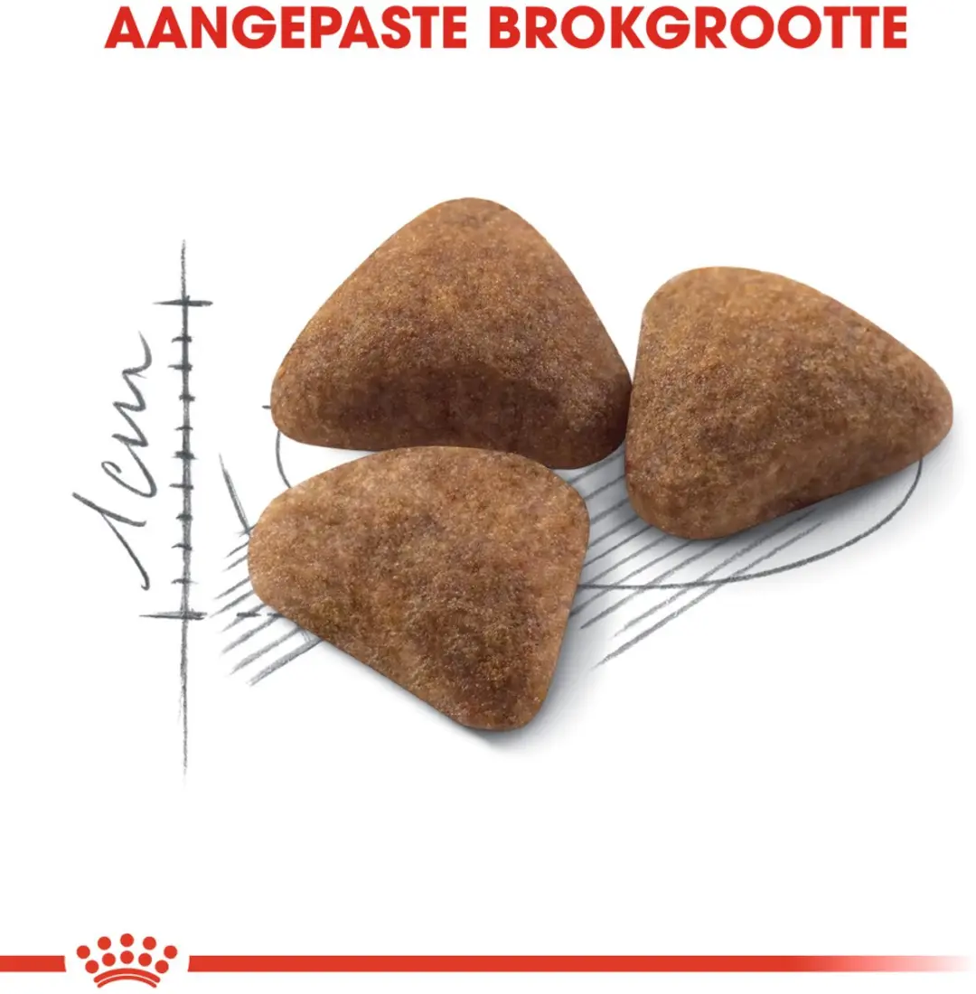 Royal Canin Indoor 27 Kattenbrokken 2kg