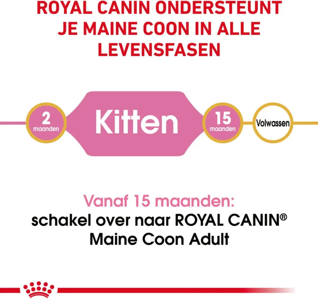 Royal Canin Maine Coon Kitten - 12 kg (6x2kg)