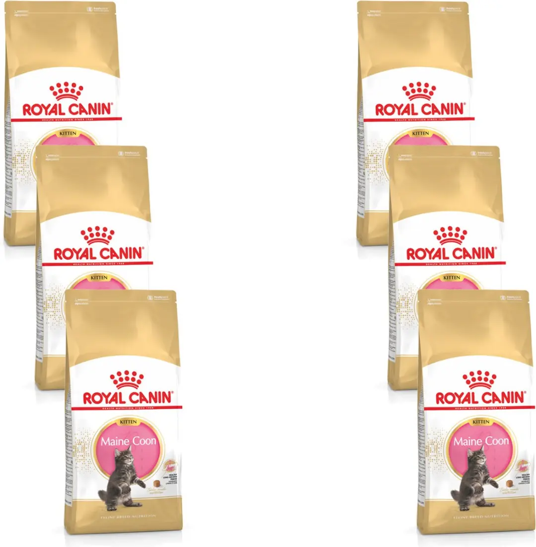 Royal Canin Maine Coon Kitten