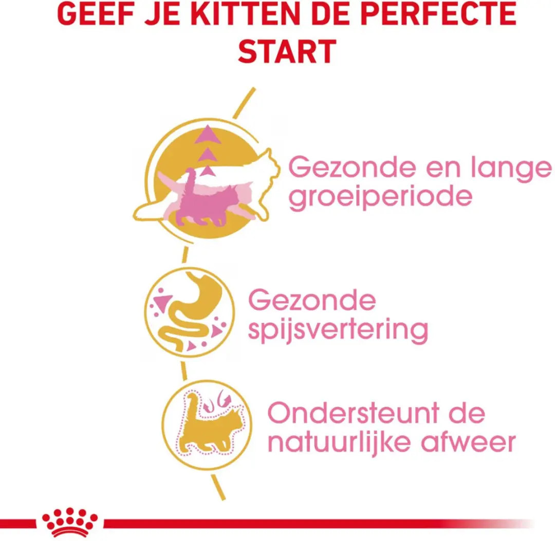 Royal Canin Maine Coon Kitten - 12 kg (6x2kg)