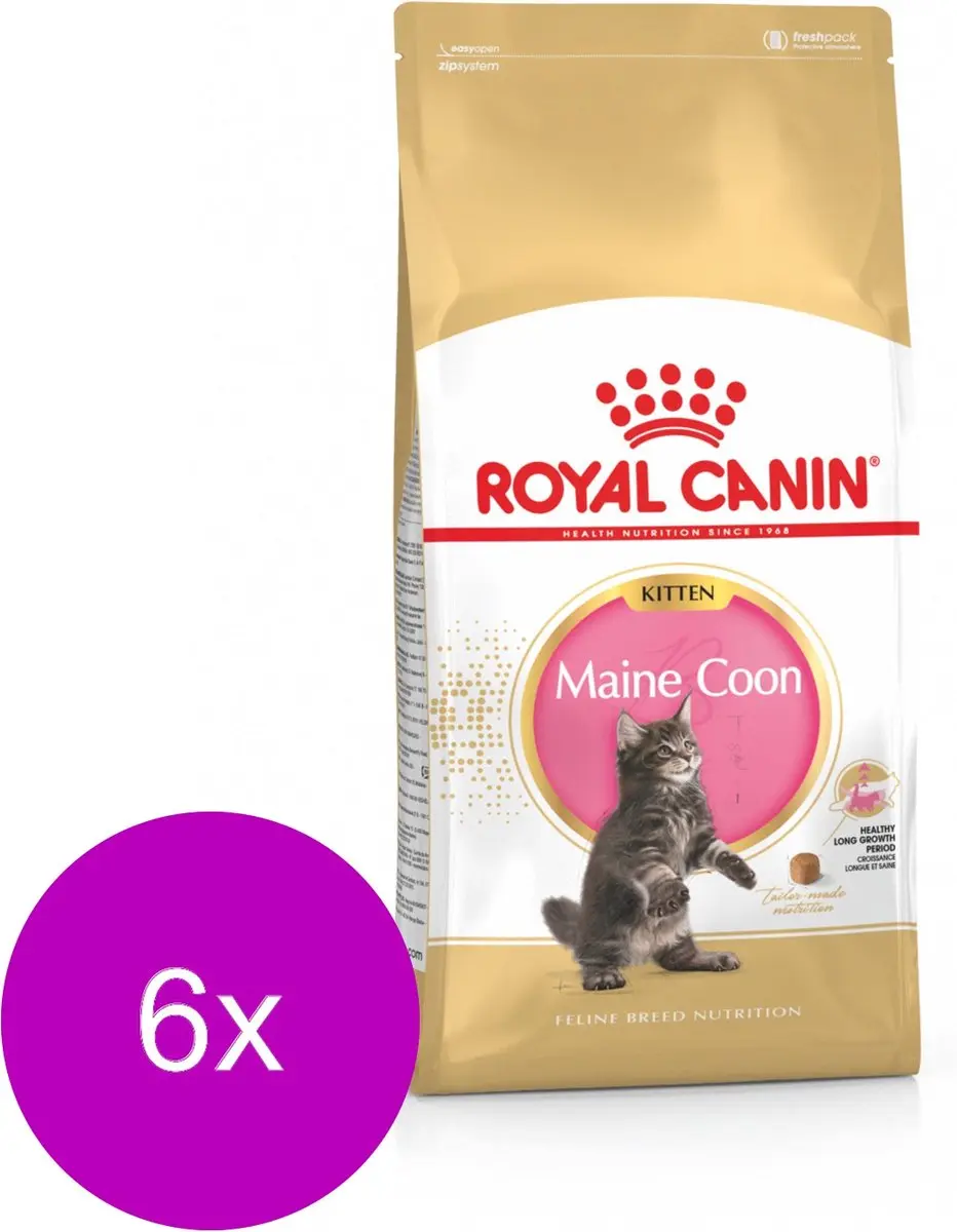 Royal Canin Maine Coon Kitten - 12 kg (6x2kg)