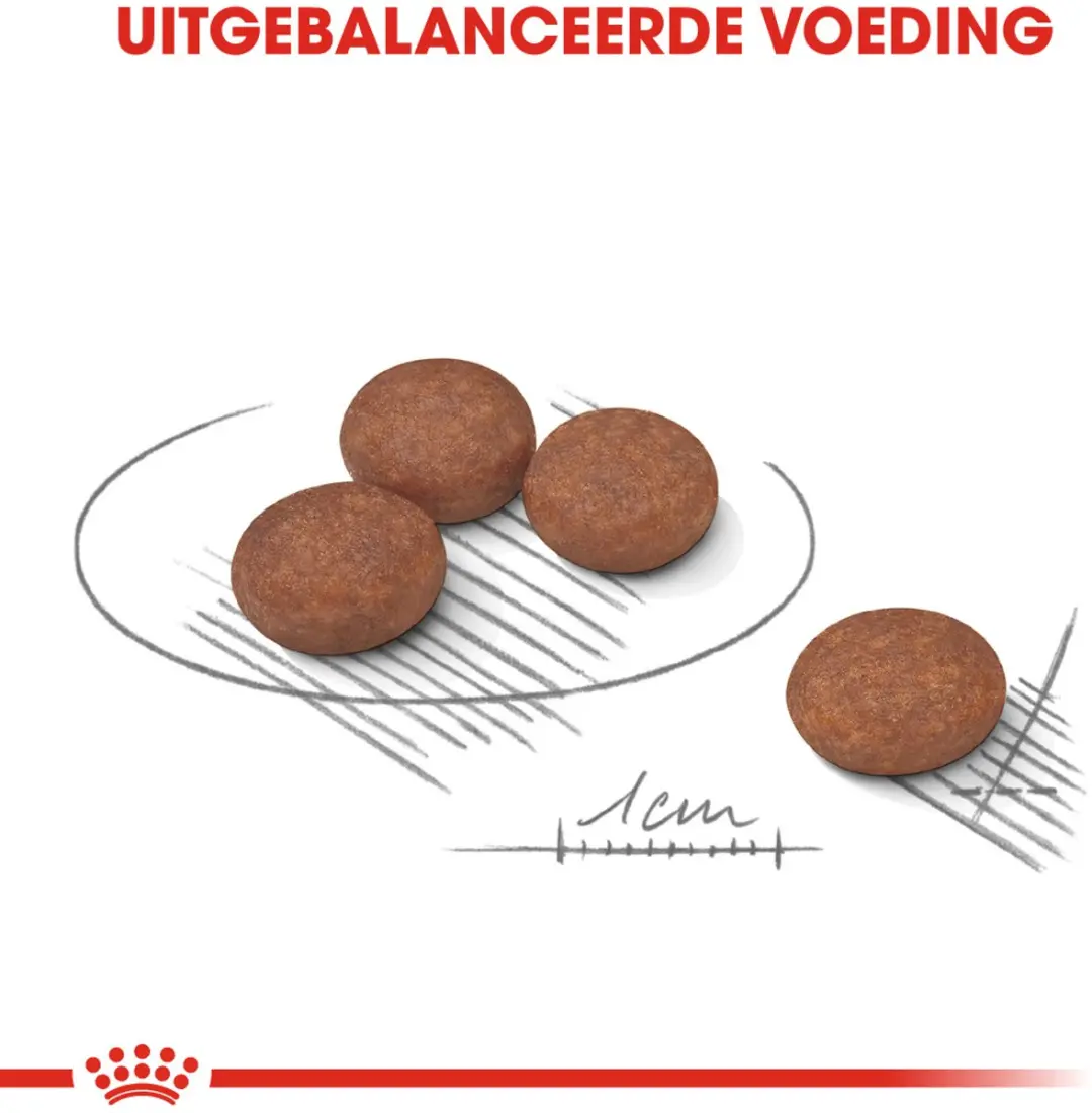 Royal Canin Digestive Care Mini Hondenvoer - 1 kg