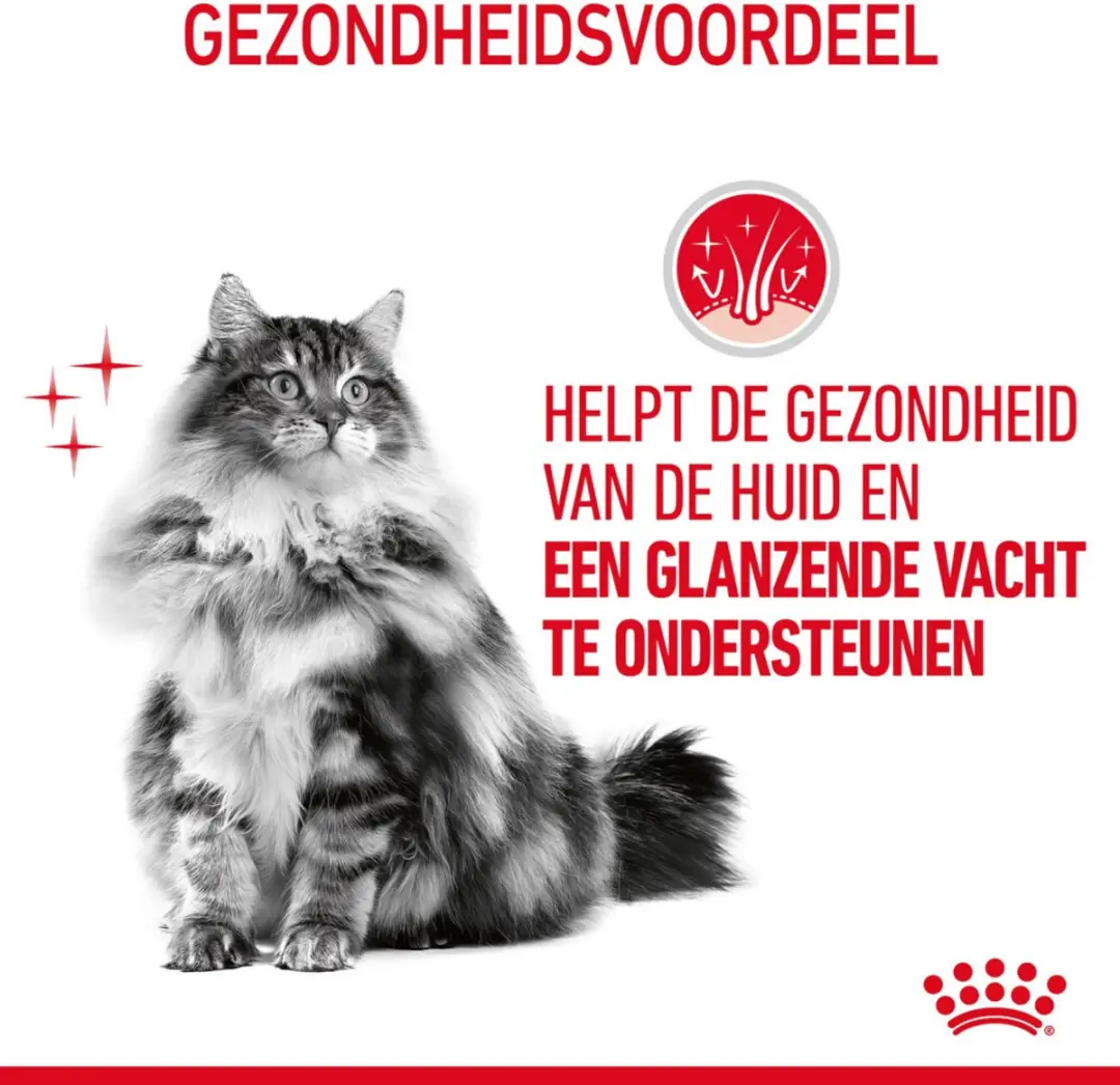 Royal Canin Hair & Skin Care Kattenvoer - 4x4kg