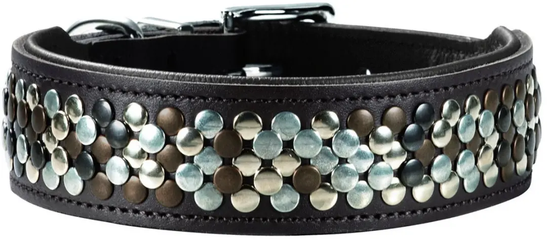 Hunter Halsband Arizona Bruin