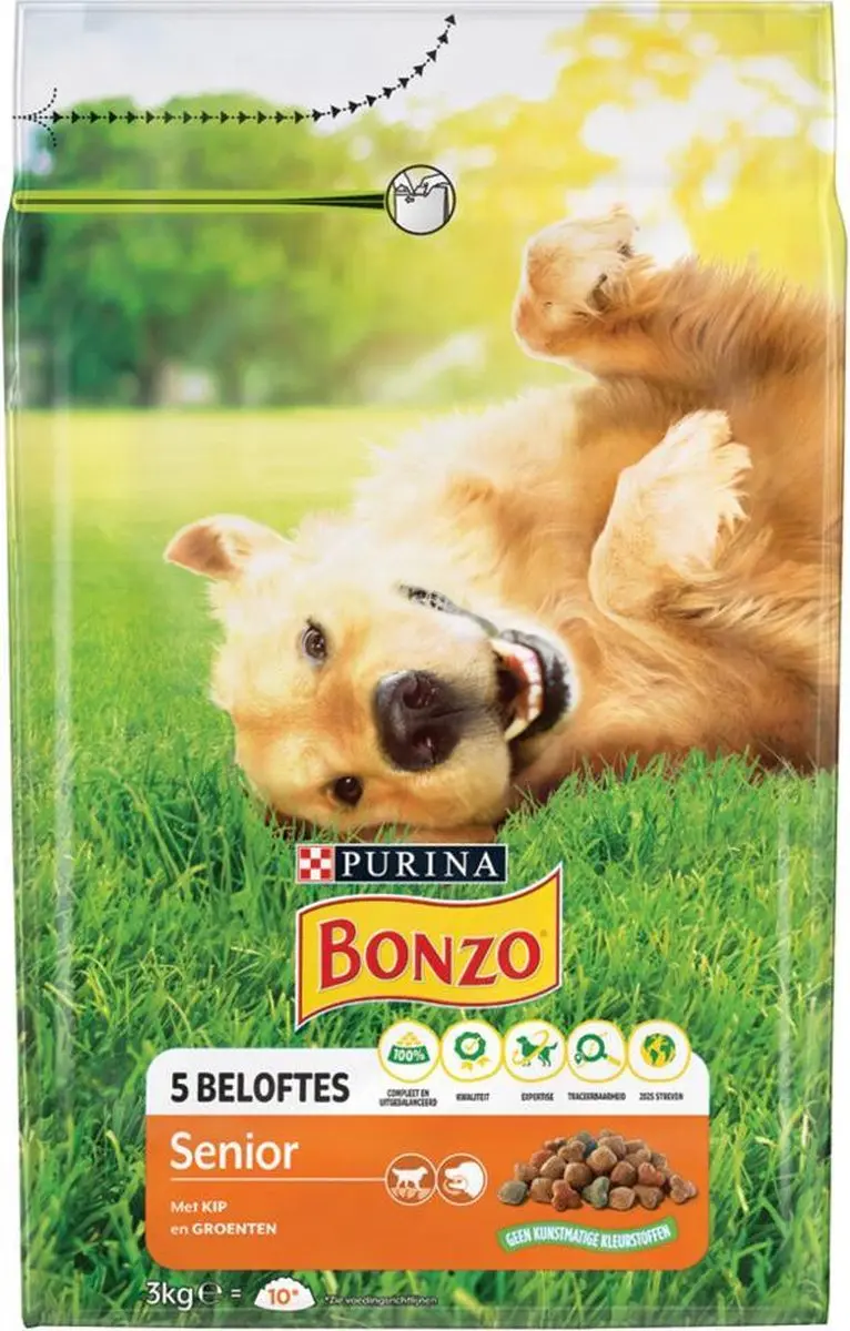 Bonzo Senior Kip
