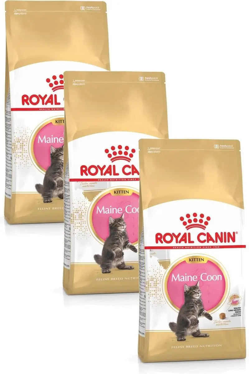 Royal Canin Maine Coon Kitten