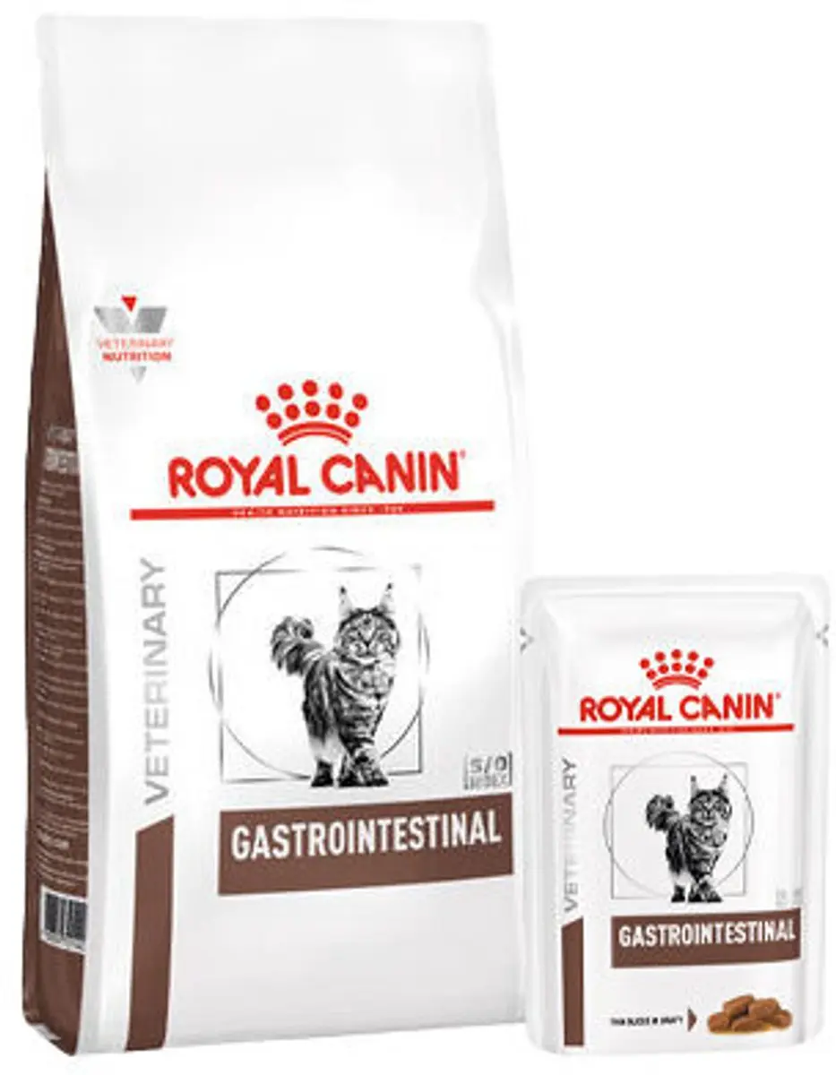 Royal Canin Gastro Intestinal Kat Combi Bundel - 2kg + 12x85g
