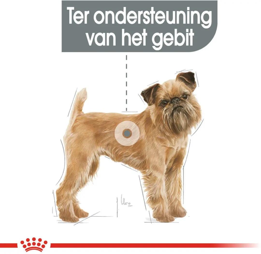Royal Canin Dental Care Mini Hondenvoer - 3 kg