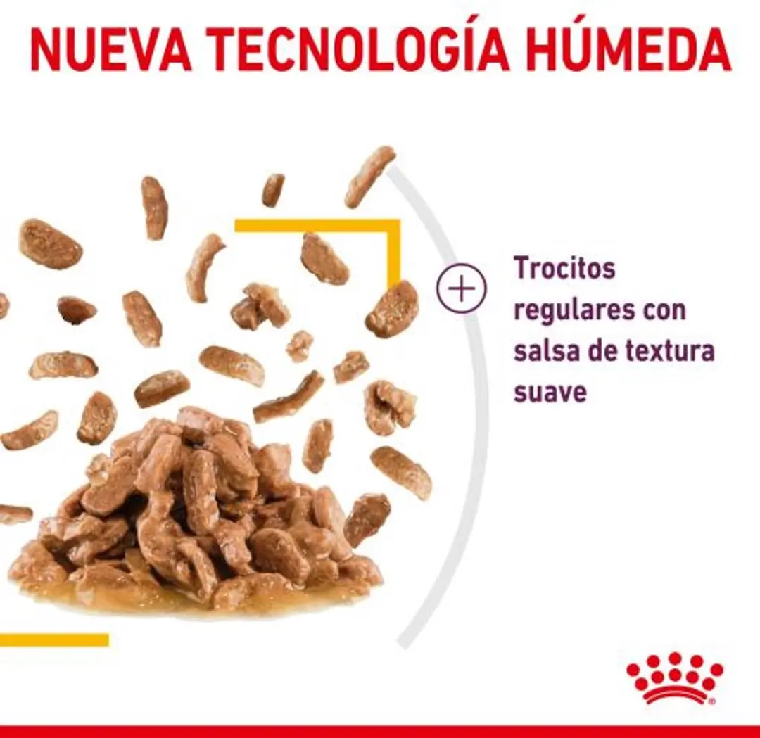 Royal Canin Sensory Taste Kattenvoer - 12x85g In Gravy