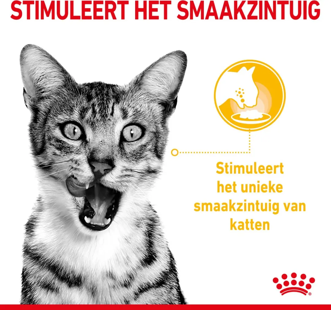 Royal Canin Sensory Taste Kattenvoer - 12x85g In Gravy