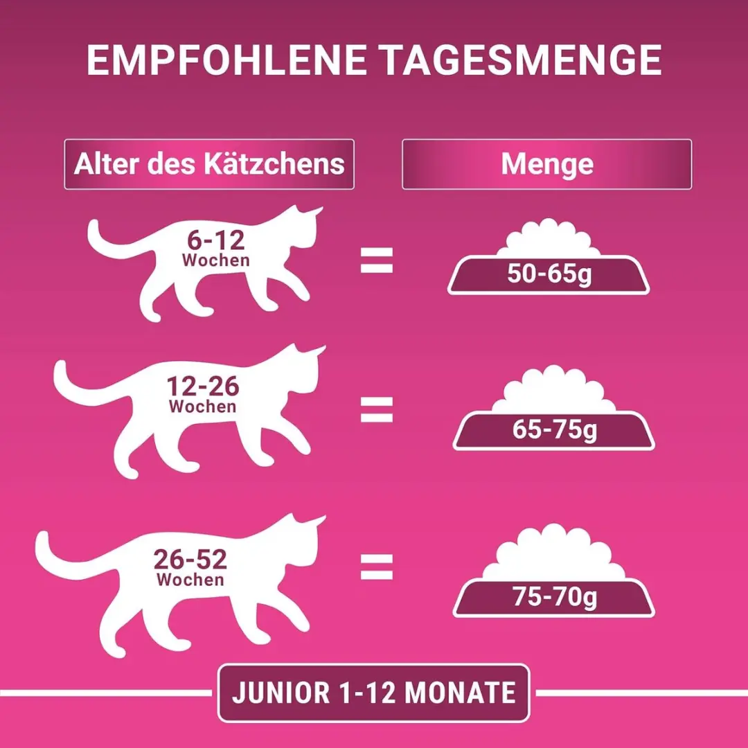Purina ONE Bifensis Junior 1-12 Kattenvoer - 750g
