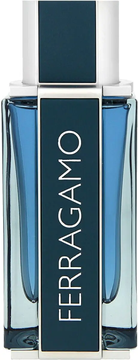 Salvatore Ferragamo Ferragamo Intense Leather Herenparfum 100ml