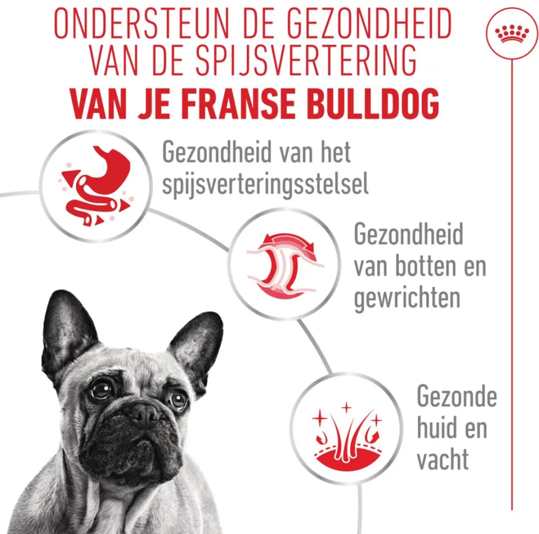 Royal Canin Natvoer French Bulldog 12x85g